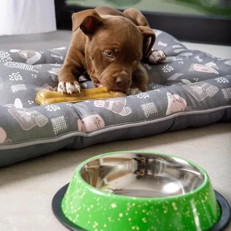 Mynd Adeje Costa Adeje (Tenerife)